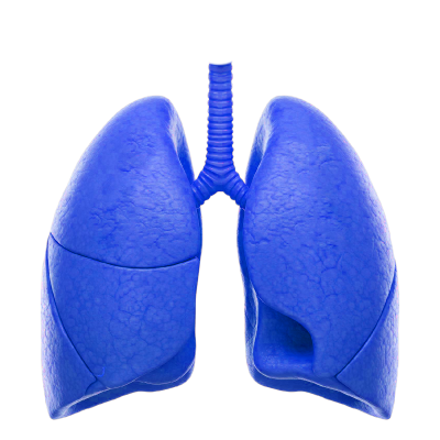 Lungs Doctor in Hyderabad Dr Kunal Waghray
