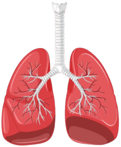 Lung Transplant Doctor in Hyderabad